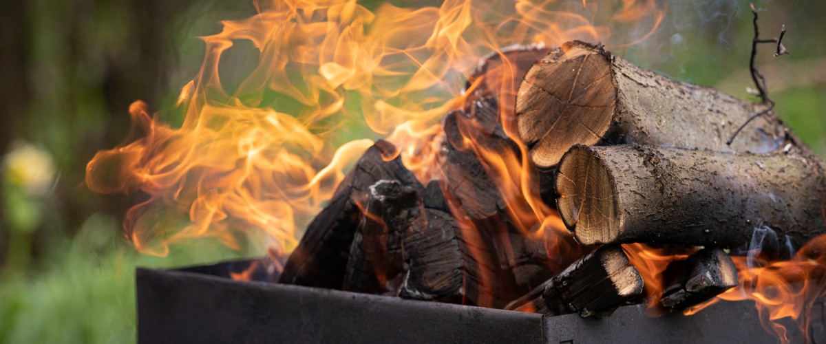 Will burning wood do more harm than good?